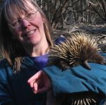 Echidna Researcher Dr Peggy Rismiller