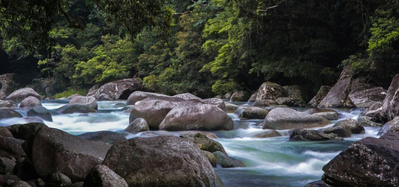 FNQ Nature Tours - Landscape 01