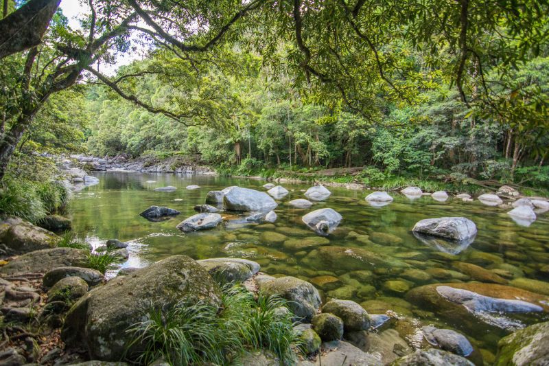 FNQ Nature Tours - Landscape 05