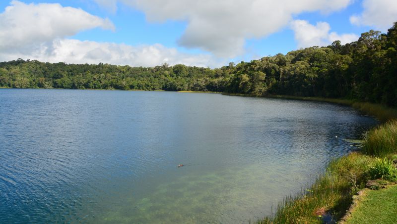 FNQ Nature Tours - Landscape 06